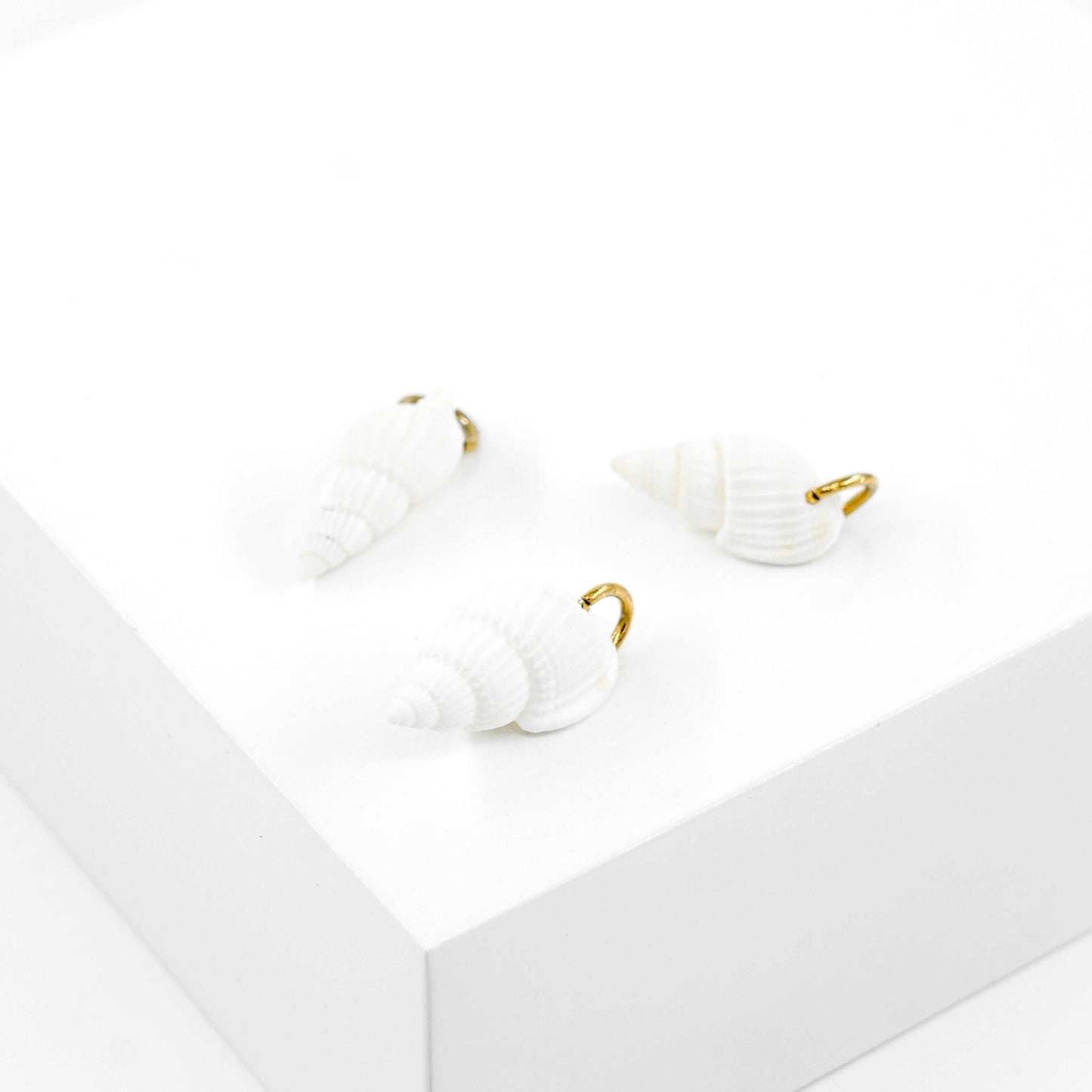 Natural shell Charm DYO