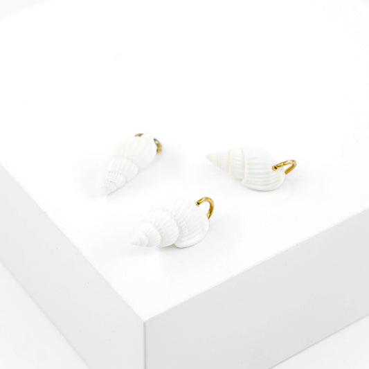 Natural shell Charm DYO