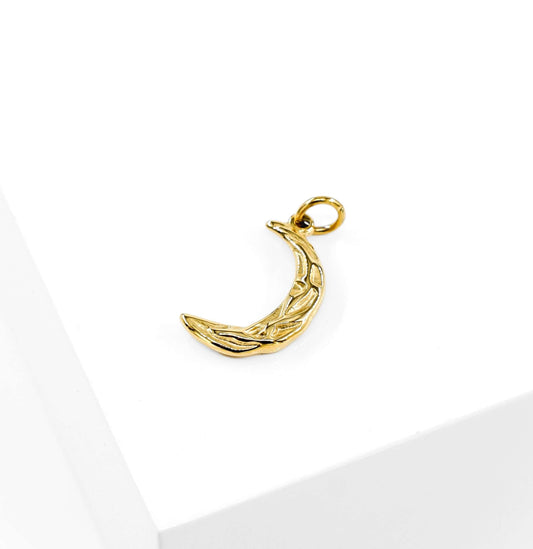 Moon Charm DYO